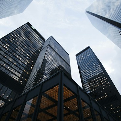 Business Pulse icon